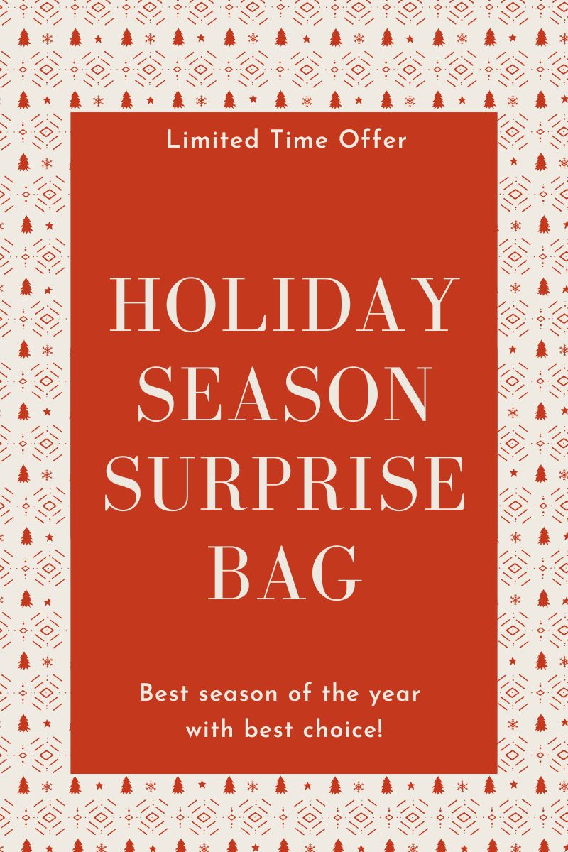 Holiday Season Mystery Surprise Bag! M-1231 - ARIA KIDS