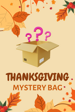 Thanksgiving Mystery Bag 10 Items Great Value - ARIA KIDS