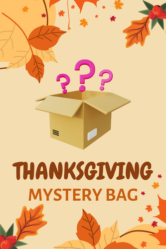 Thanksgiving Mystery Bag 10 Items Great Value - ARIA KIDS