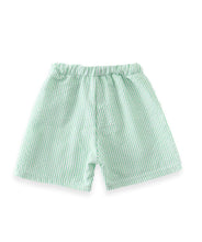 Boys Mint Green Seersucker Trunks Swim Shorts - ARIA KIDS