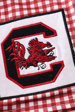 South carolina gamecock embroidery boy swim trunks